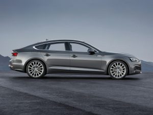 (c) Audi