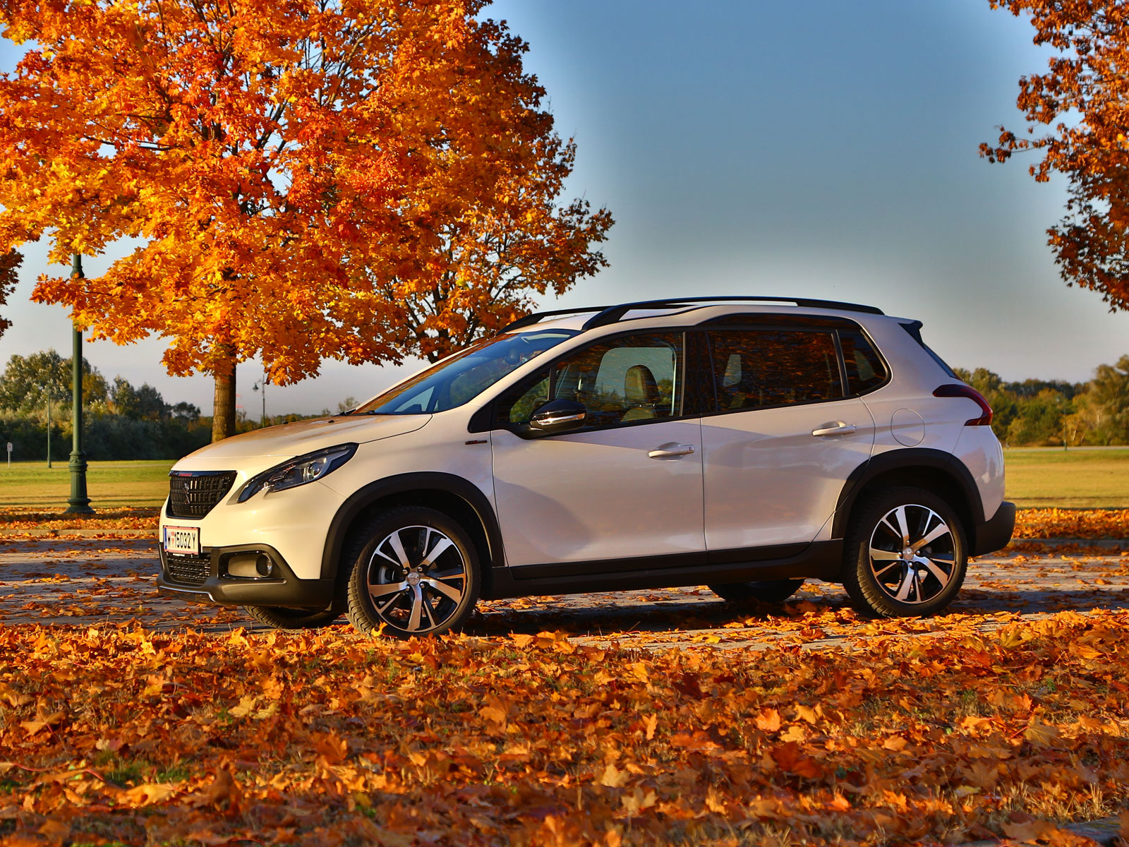 Peugeot 2008 GT im Test - Automagazin