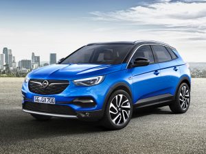 Opel Grandland X 305584