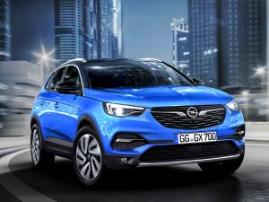 Opel Grandland X 305587