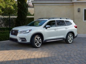 2019 Ascent Limited 2