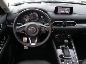 IMG 9599