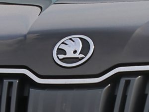 Skoda logo