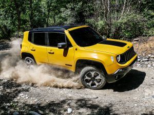 New Jeep Renegade MY19 TRAILHAWK 16