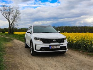 Kia Sorento Platin 2,2 CRDi AWD DCT8