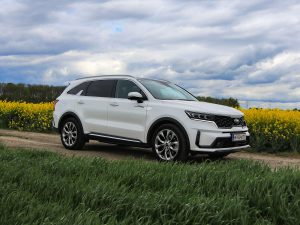 Kia Sorento Platin 2,2 CRDi AWD DCT8