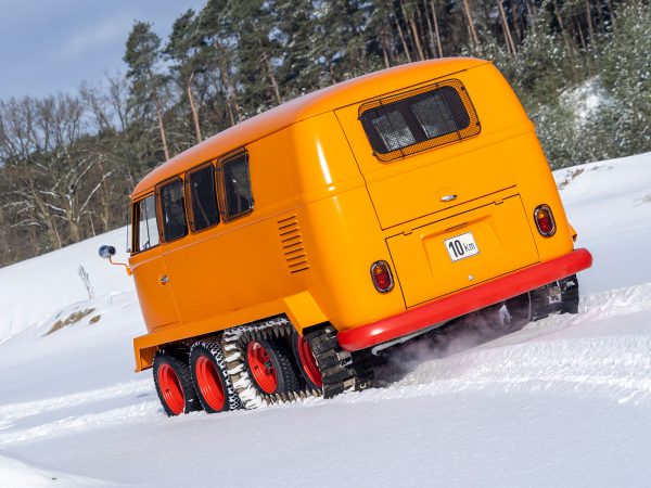 T1 Raupen Fuchs 08