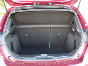 Fiesta 1.0 EcoBoost mHEV, ST-Line