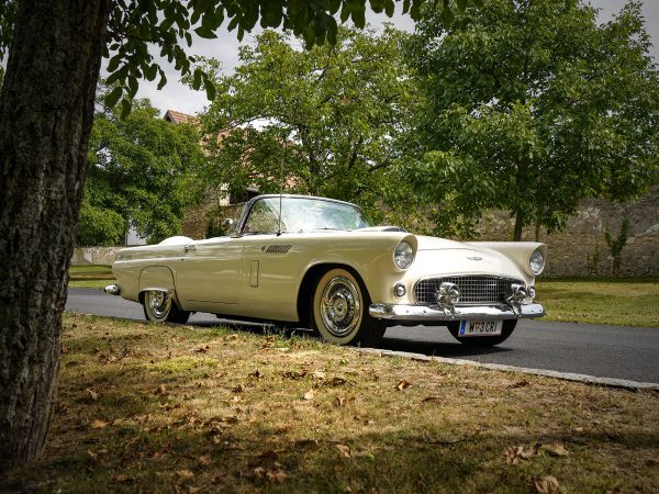 Ford Thunderbird BJ 1956