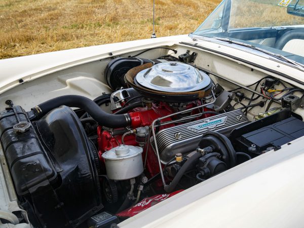 Ford Thunderbird BJ 1956