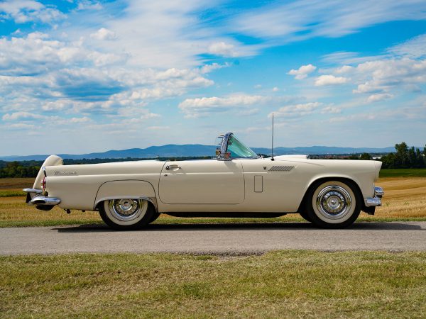 Ford Thunderbird BJ 1956