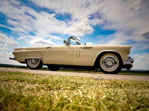 Ford Thunderbird BJ 1956