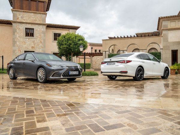 81387 combo lexus es300h and es300hf sport 012