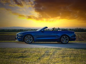 Ford Mustang GT Cabrio (c) Stefan Gruber