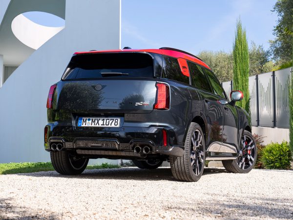 (c) Mini