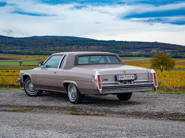 Cadillac Coupe de Ville (c) Stefan Gruber