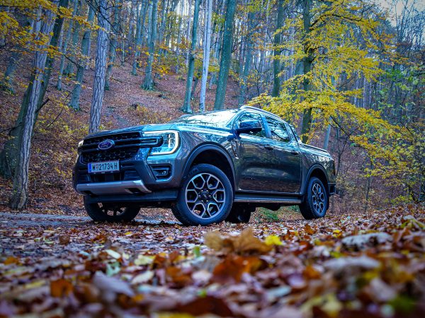 Ford Ranger Wildtrak 2,0 EcoBlue 205 PS A10