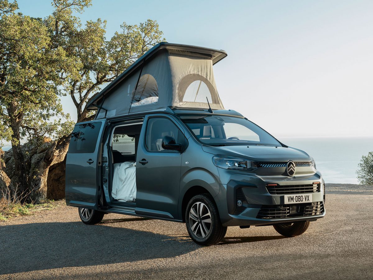 (c) Citroen