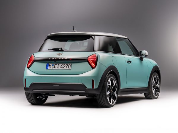 (c) Mini