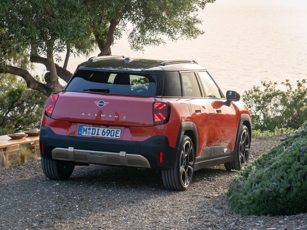 (c) Mini