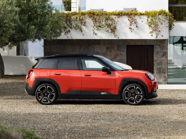 (c) Mini