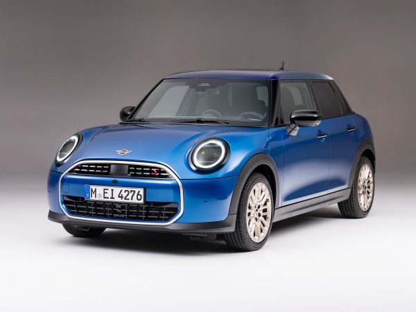 (c) Mini