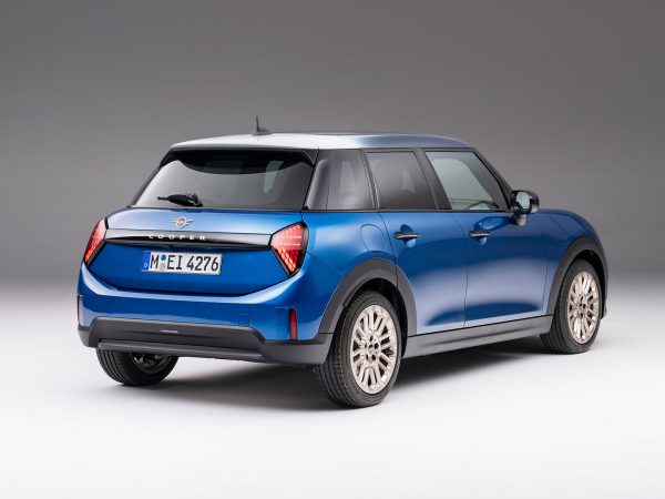 (c) Mini