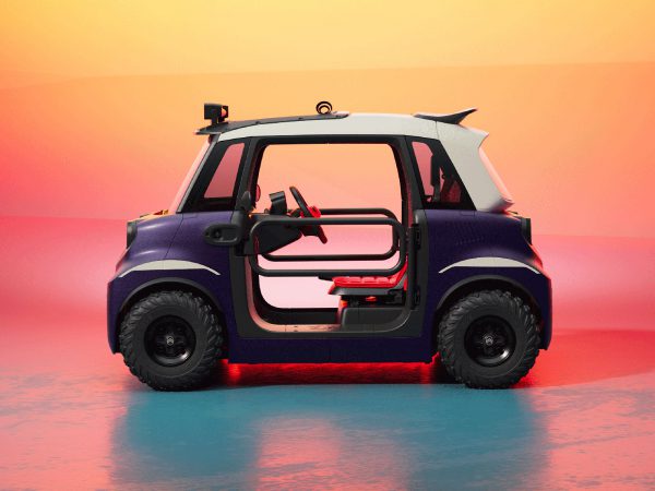 (c) Citroen