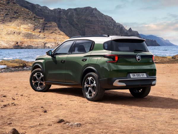 (c) Citroen