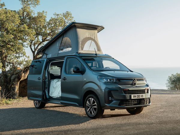 (c) Citroen