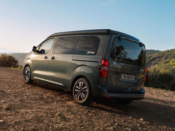 (c) Citroen