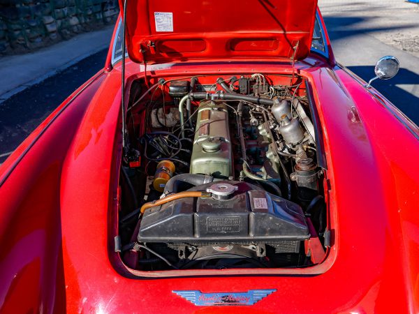 Austin-Healey 3000 Mk.I (c) Stefan Gruber