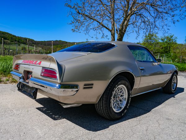 Pontiac Firebird Formula 400 (c) Stefan Gruber