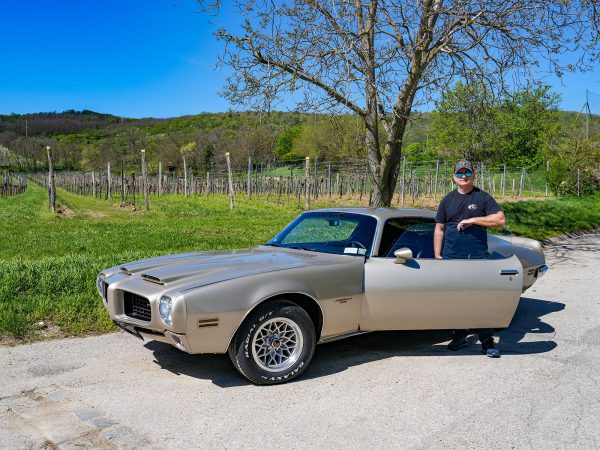 Pontiac Firebird Formula 400 (c) Stefan Gruber