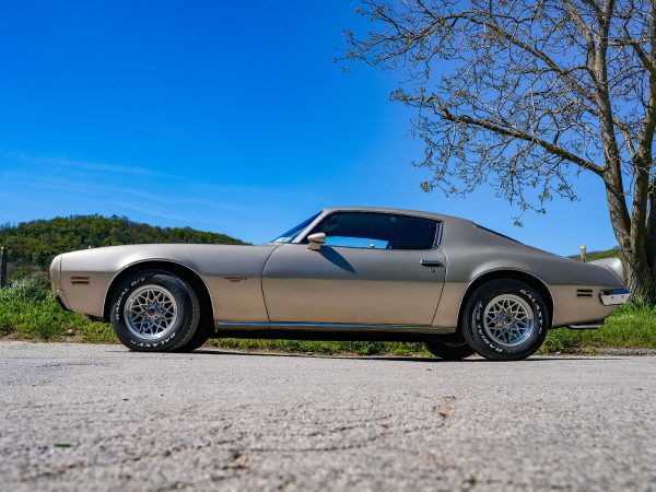 Pontiac Firebird Formula 400 (c) Stefan Gruber