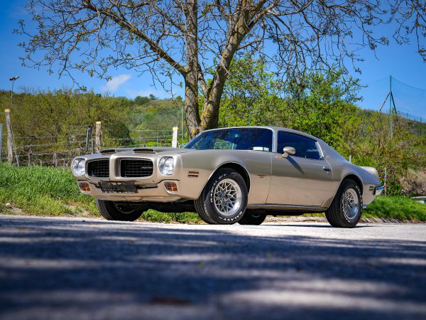 Pontiac Firebird Formula 400 (c) Stefan Gruber