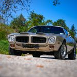 Pontiac Firebird Formula 400 (c) Stefan Gruber