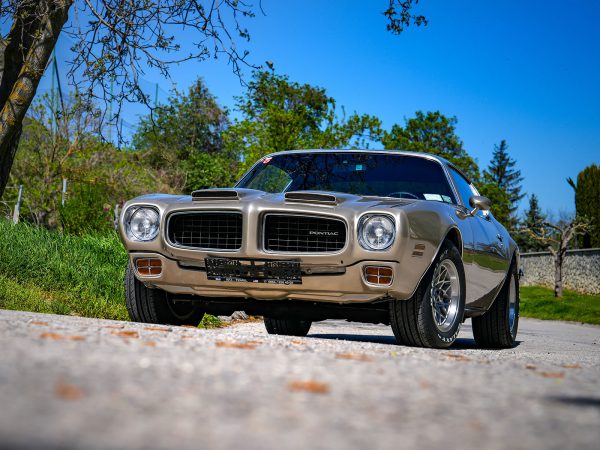 Pontiac Firebird Formula 400 (c) Stefan Gruber
