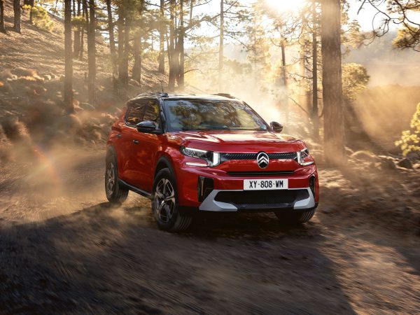 (c) Citroen