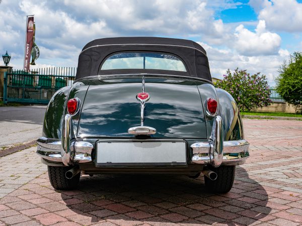 Jaguar XK 140 (c) Stefan Gruber